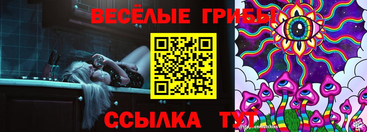 Псилоцибиновые грибы Psilocybe  Псилоцибиновые грибы MAGIC MUSHROOMS  Вольск  Вход с VPN 
